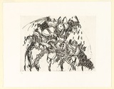 Artist: Taylor, Ben. | Title: Bull Banksia | Date: 1986 | Technique: etching, printed in black ink, from one  plate