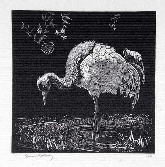 Artist: b'LINDSAY, Lionel' | Title: b'The crane' | Date: 1925 | Technique: b'wood-engraving, printed in black ink, from one block' | Copyright: b'Courtesy of the National Library of Australia'