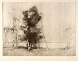 Artist: b'LONG, Sydney' | Title: b'Landscape, Gosford' | Date: 1928, before | Technique: b'line-etching, printed in brown ink, from one copper plate' | Copyright: b'Reproduced with the kind permission of the Ophthalmic Research Institute of Australia'