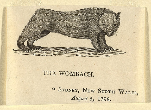 Artist: b'Bewick, Thomas' | Title: b'The Wombach.' | Date: 1800 | Technique: b'wood-engraving, printed in black ink, from one block'