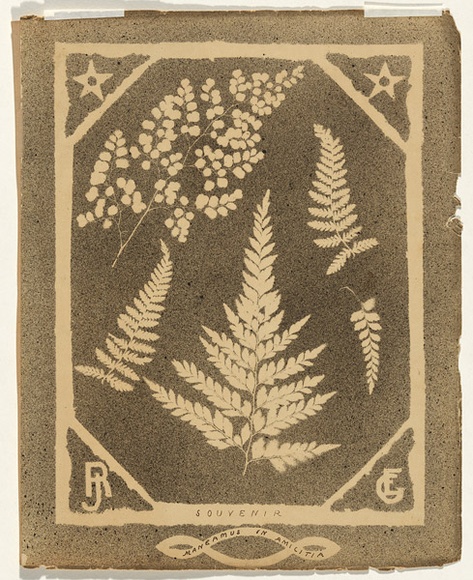 Artist: b'Jackson, Robert.' | Title: b'Souvenir' | Date: 1875 | Technique: b'splatterwork, printed in black ink, from one  stencil'