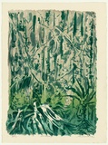 Artist: b'KING, Grahame' | Title: b'Rain forest II' | Date: 1979 | Technique: b'lithograph, printed in colour, from four stones [or plates]'