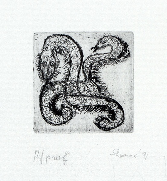 Artist: b'Shearer, Mitzi.' | Title: b'not titled' | Date: 1991 | Technique: b'etching, printed in black ink with plate-tone, from one plate'