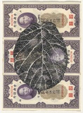 Artist: HALL, Fiona | Title: Corylus chinensis - Chinese hazel (Chinese currency) | Date: 2000 - 2002 | Technique: gouache | Copyright: © Fiona Hall