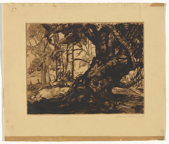 Artist: b'Nimmo, Lorna.' | Title: b'(Old tree with landscape)' | Date: 1940 | Technique: b'etching, drypoint printed in brown ink, from one copper plate,'