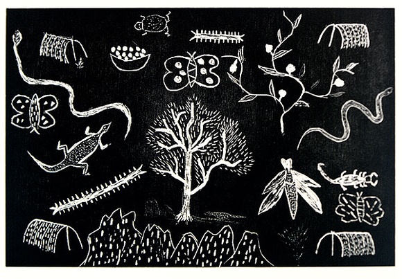 Artist: b'Petyarre, Suzy.' | Title: b'not titled [No.67]' | Date: 1990 | Technique: b'woodcut, printed in black ink, from one block'