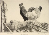 Artist: LINDSAY, Lionel | Title: The three cocks | Date: 1942 | Technique: line-engraving, printed in black ink, from one copper plate | Copyright: Courtesy of the National Library of Australia