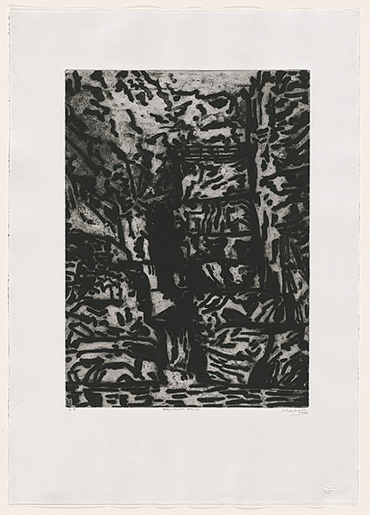 Artist: b'MAKIN, Jeffrey' | Title: b'Bricklyn Falls.' | Date: 2001 | Technique: b'etching, printed in black ink, from one plate'