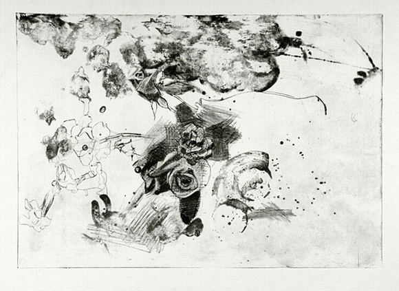 Artist: b'Moore, Mary.' | Title: b'not titled' | Date: 1981 | Technique: b'mezzotint, drypoint and acid mixed with wall-paper paste printed in black ink, from one plate' | Copyright: b'\xc2\xa9 Mary Moore'