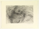 Artist: Mortensen, Kevin. | Title: Mother earth (small version) | Date: 2000 | Technique: etching, printed in black ink, from one copper plate | Copyright: © Kevin Mortensen