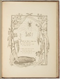 Artist: Meredith, Louisa Anne. | Title: Lost [title page] | Date: 1860 | Technique: lithograph, printed brown ink, from one stone