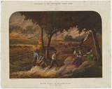 Artist: b'Calvert, Samuel.' | Title: b'Bush fire in Australia.' | Date: 1880 | Technique: b'wood-engraving, printed in colour, from multiple blocks'