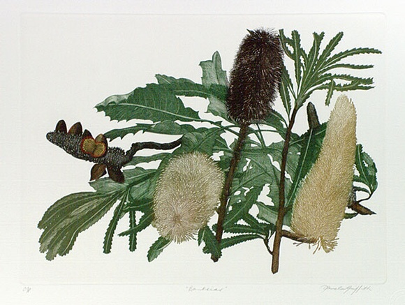 Artist: GRIFFITH, Pamela | Title: Banksias | Date: 1989 | Technique: hardground-etching and aquatint, printed in black ink, from one copper plate | Copyright: © Pamela Griffith
