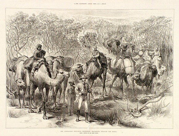 Artist: b'Young, Jesse.' | Title: b'The Australian exploring expedition travelling through the scrub' | Date: c.1876 | Technique: b'wood-engraving, printed in black ink, from one block'