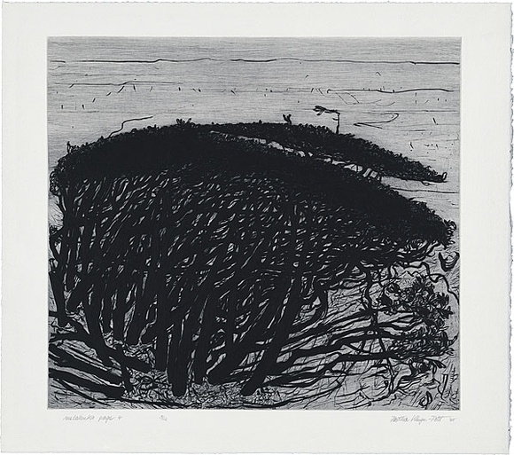 Artist: b'Kluge-Pott, Hertha.' | Title: b'Melaleuka page 4.' | Date: 2005 | Technique: b'etching and drypoint, printed in black ink with plate-tone, from one plate'