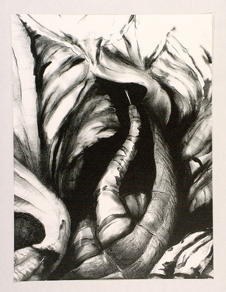 Artist: b'Driver, Jacqui.' | Title: b'Eve as the other.' | Date: 1992 | Technique: b'lithograph, printed in black ink, from one stone [or plate]'