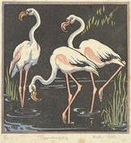 Artist: Voke, May. | Title: Flamingoes | Date: 1932 | Technique: linocut, printed in colour, from mutliple blocks