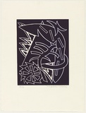 Artist: LEACH-JONES, Alun | Title: Lupercalia #8 | Date: 1983 | Technique: linocut, printed in deep purple ink, from one block | Copyright: Courtesy of the artist