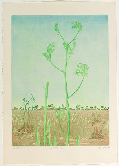 Artist: b'GRIFFITH, Pamela' | Title: b'Australiana I' | Date: 1979 | Technique: b'etching, aquatint, drypoint, soft ground from two zinc plates' | Copyright: b'\xc2\xa9 Pamela Griffith'