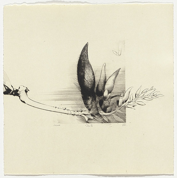 Artist: b'SCHMEISSER, Jorg' | Title: b'2. Drypoint' | Date: 1984 | Technique: b'drypoint, printed in black ink, from one plate' | Copyright: b'\xc2\xa9 J\xc3\xb6rg Schmeisser'