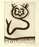 Artist: b'MITROPOULOS, Connie' | Title: b'Snake flower' | Date: 1996, July/August | Technique: b'sugar-lift etching, printed in black ink, from one plate'