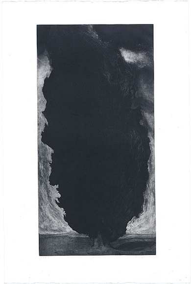 Artist: b'Johnstone, Ruth.' | Title: b'Cypress III' | Date: 1986 | Technique: b'etching, printed in black ink, from one plate'