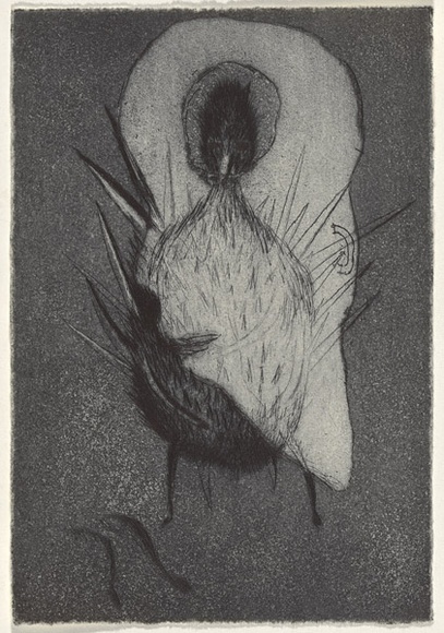 Artist: b'Uhlmann, Paul.' | Title: b'New Insecta Queensland by A A Girault.' | Date: 1989 | Technique: b'etching'