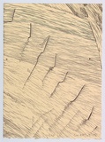 Artist: b'BOT, G.W.' | Title: b'Gulf' | Date: 1994 - 1995 | Technique: b'linocut, printed in black ink, from one block' | Copyright: b'\xc2\xa9 G.W. Bot'