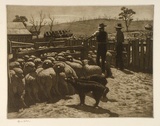 Artist: b'LINDSAY, Lionel' | Title: b'Drafting sheep' | Date: 1947 | Technique: b'etching and foul biting, printed in warm black ink, from one plate' | Copyright: b'Courtesy of the National Library of Australia'