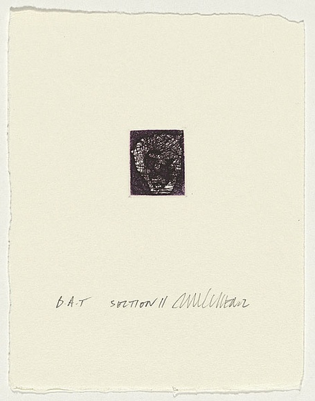 Artist: b'Cullen, Adam.' | Title: b'Section II' | Date: 2002 | Technique: b'etching, printed in magenta ink, from one plate'