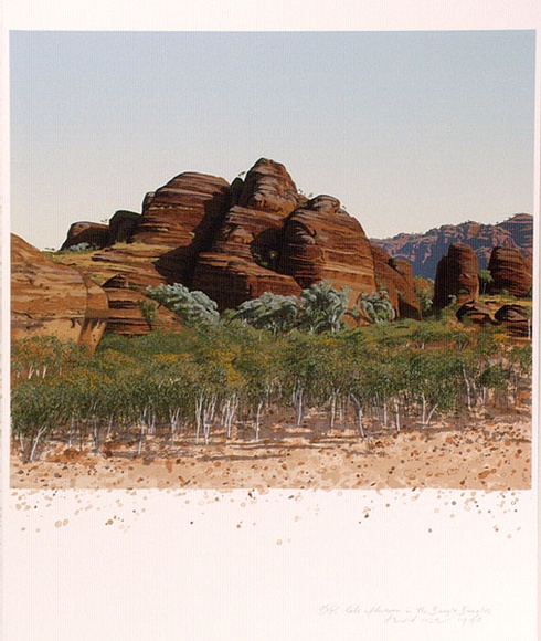 Artist: b'ROSE, David' | Title: b'Late afternoon in the Bungle Bungles' | Date: 1990 | Technique: b'screenprint, printed in colour, from multiple stencils'