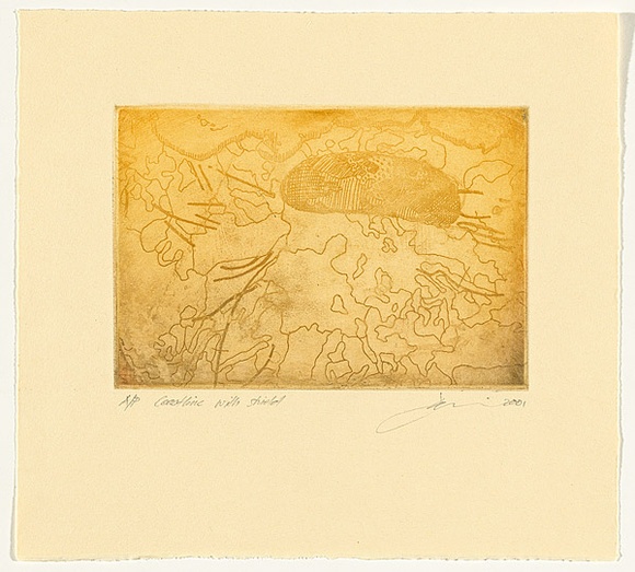 Title: b'Coastline with shield.' | Date: 2001 | Technique: b'etching, printed in colour, from one plate'