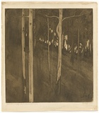Artist: b'TRAILL, Jessie' | Title: b'Good night in the gully where the white gums grow.' | Date: 1922 | Technique: b'etching and aquatint, printed in brown ink, from one plate'