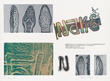 Artist: b'MEYER, Bill' | Title: b'Snake II' | Date: 1974 | Technique: b'screenprint, printed in colour, from eight screens' | Copyright: b'\xc2\xa9 Bill Meyer'