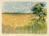 Artist: le Cheminant, Ruth. | Title: Arrawarra | Date: 1969 | Technique: screenprint, printed in colour, from four stencils