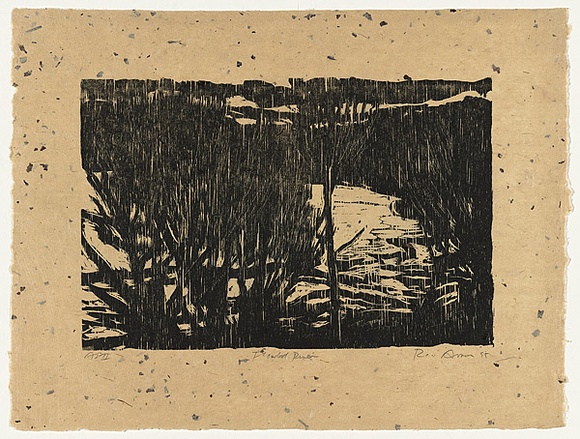 Artist: b'AMOR, Rick' | Title: b'Flooded river.' | Date: 1995 | Technique: b'woodcut, printed in black ink, from one block'