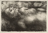 Artist: b'RIESE, Tanja' | Title: b'Floating' | Date: 1987 | Technique: b'lithograph, printed in black ink, from one stone'