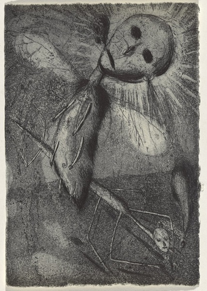 Artist: b'Uhlmann, Paul.' | Title: b'New Insecta Queensland by A A Girault.' | Date: 1989 | Technique: b'etching'