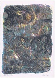 Artist: b'MEYER, Bill' | Title: b'Grass storm' | Date: 1987 | Technique: b'screenprint, printed in colour, from multiple stencils' | Copyright: b'\xc2\xa9 Bill Meyer'