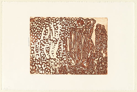 Artist: Nampitjin, Eubena. | Title: Heavily textured vertical lines and dot motif | Date: 2000, 3 April | Technique: etching, printed in reddish brown ink, from one zinc plate