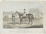 Title: b'Flying buck. The winner of the first Australian Champion Sweepstakes, October 1st, 1859.' | Date: c.1859 | Technique: b'lithograph, printed in colour, from multiple stones'