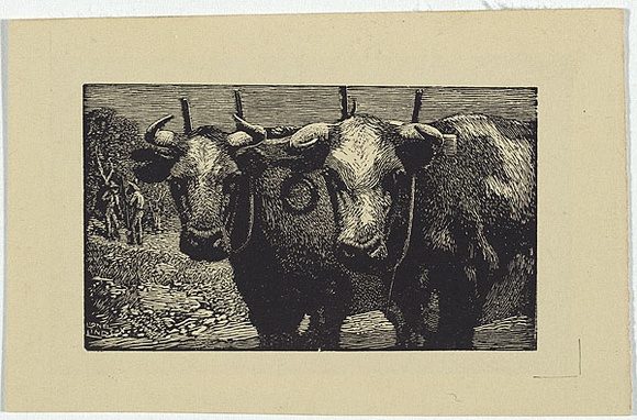 Artist: b'LINDSAY, Lionel' | Title: b'Yoke mates' | Date: 1923 | Technique: b'wood-engraving, printed in black ink, from one block' | Copyright: b'Courtesy of the National Library of Australia'