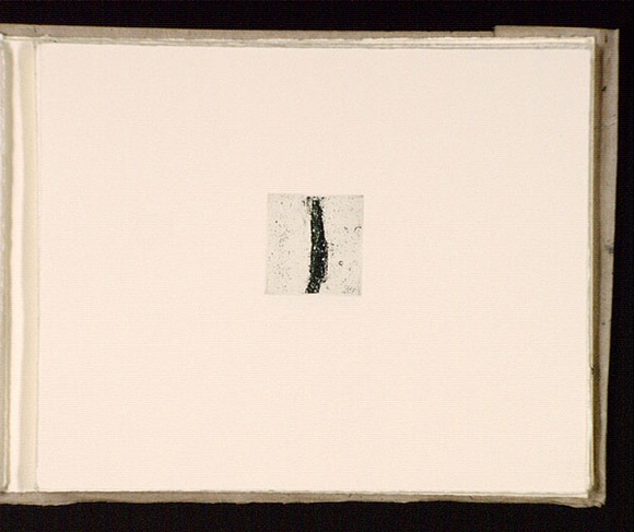 Artist: b'Mann, Gillian.' | Title: b'(Abstract form).' | Date: 1981 | Technique: b'etching, printed in black ink, from one plate'