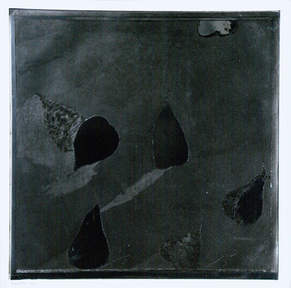 Artist: b'BALDESSIN, George' | Title: b'Pears (silver version).' | Date: 1970 | Technique: b'etching and aquatint, printed in black ink, from one plate'