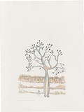 Artist: Bradhurst, Jane. | Title: This is our land, celebrity boab, Kununurra. | Date: 1997 | Technique: lithograph, printed in black ink, from one stone; hand-coloured in watercolour