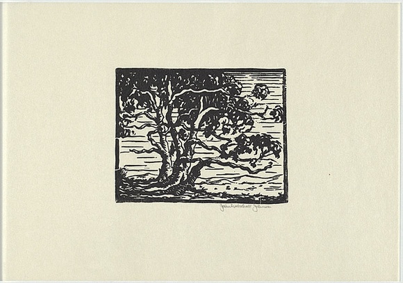 Artist: b'Johnson, John Godschall.' | Title: b'not titled' | Date: c.1930 | Technique: b'woodcut, printed in black ink, from one block'