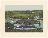 Artist: b'Newberry, Angela.' | Title: b'Fogg dam.' | Date: 1995 | Technique: b'screenprint, printed in colour, from multiple stencils'