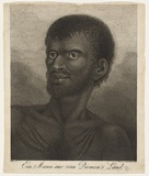 Title: bEin mann aus Van Diemen's Land | Date: c.1784 | Technique: b'etching and engraving, printed in black ink, from one plate'