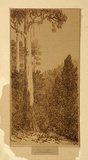 Artist: Mather, John. | Title: Fernshaw | Date: 1913 | Technique: etching, printed in brown ink with plate-tone, from one copper plate
