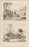 Title: b'Naturels de la Tasmanie p\xc3\xaachant des coquillages and Dasyures d\xc3\xa9vorant un phoque [Natives of Tasmania gathering shellfish and Quolls devouring a seal]' | Date: 1835 | Technique: b'engraving, printed in black ink, from one steel plate'